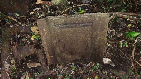 Artefact (oven door?) suggesting location of an old hut - 2024 - © wainuiomata.net