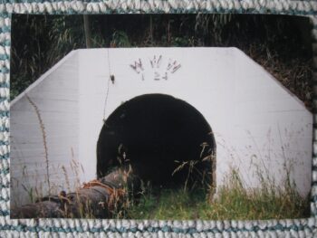 Orongorongo Tunnel-Wainuiomata Entrance - © Jeremy Foster