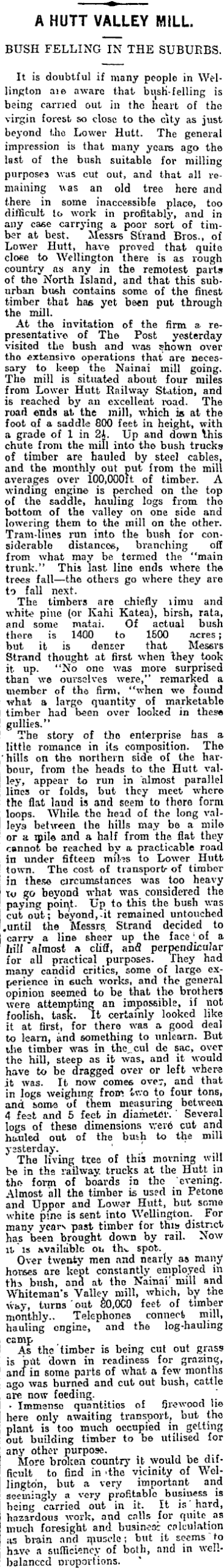 VIRGIN FOREST. Evening Post, Volume LXXIV, Issue 106, 31 October 1907, Page 3. Creative Commons BY-NC-SA 3.0 New Zealand licence.