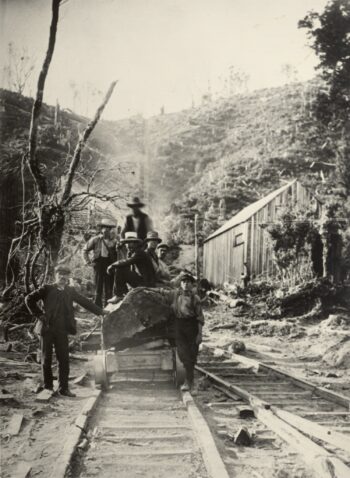 Strands Brothers Tramway. Could be on the Moores Valley side of the tramway at Nae Nae c1907-1908