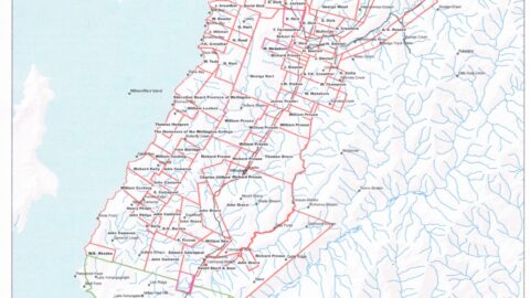 c1860 Crown Grants Map Wainuiomata