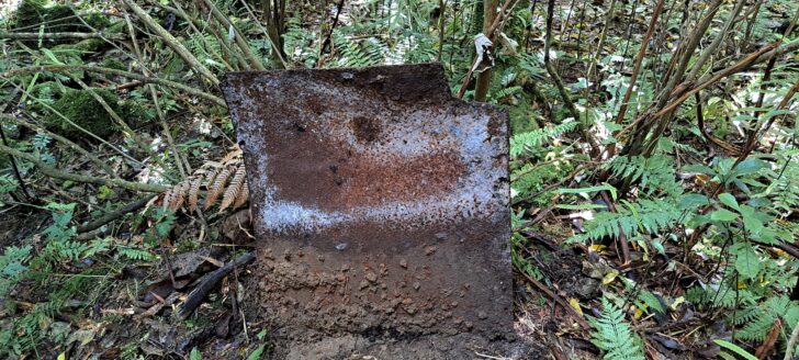 Big iron sheet - 2024 - © wainuiomata.net