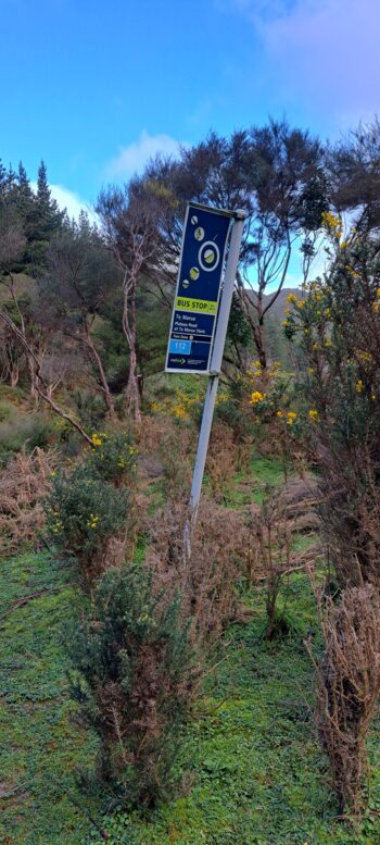 Bus Stop Sign in upper Moores Valley - 2024 - © wainuiomata.net