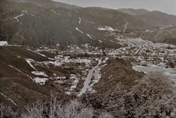 Hair Street in 1975 as seen from Mowlem a 386 metre peak in Wainuiomata Scenic Reserve