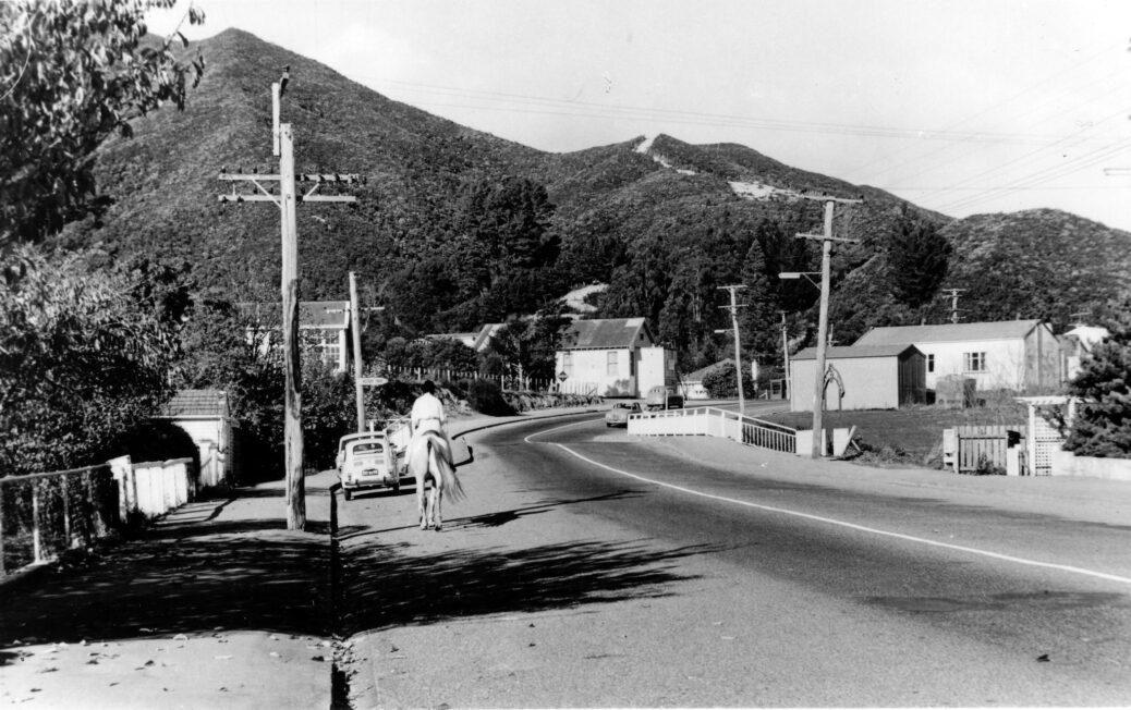 Main Road in Homedale Wainuiomata - Year: 1970 - Source:: Wainuiomata Historical Museum Description: Homedale, featuring the old school (left center), the old Public Hall (center), the fire station, and Riverside Hall (right).