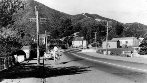 Main Road in Homedale Wainuiomata - Year: 1970 - Source:: Wainuiomata Historical Museum Description: Homedale, featuring the old school (left center), the old Public Hall (center), the fire station, and Riverside Hall (right).