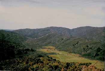 Northern Moores Valley in 1988, looking north.