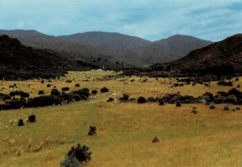 Farmland in Northern Moores Valley in 1993, looking south.