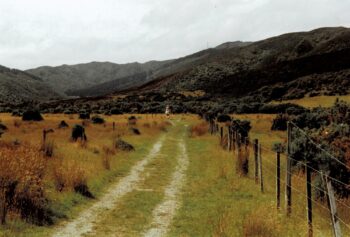 Farmland in Northern Moores Valley in 1993, looking north.