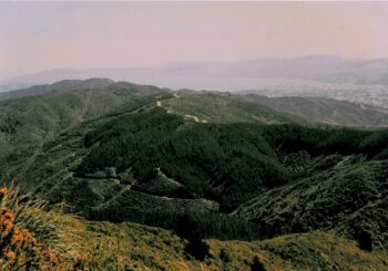 Northern Moores Valley in 1993, looking south from the Pylon Track near Whitemans Valley.