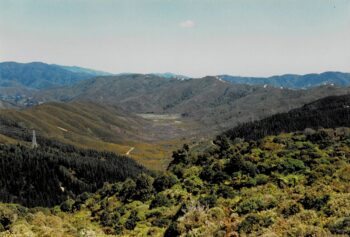 Northern Moores Valley in 1993, looking south from the Pylon Track near Whitemans Valley.