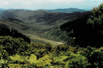 Northern Moores Valley in 2002, looking south.