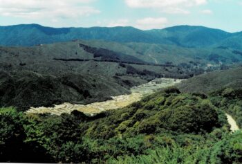 Northern Moores Valley in 2007, looking south-east.