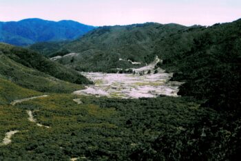 Northern Moores Valley in 2009, looking south.