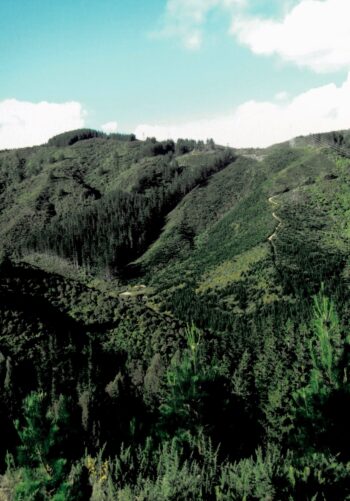 The end of Moores Valley in 2009, looking north.