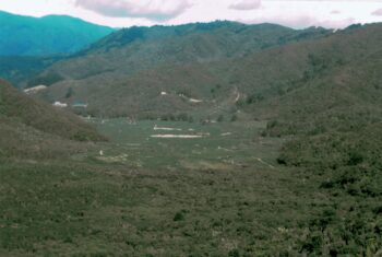 Northern Moores Valley in 2012, looking south.