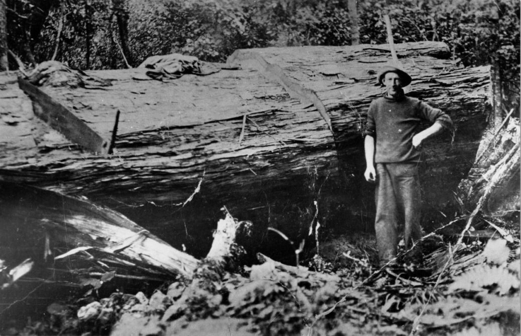 Dick Wootton a Wood Cutter and Post-Splitter from Wainuiomata - Circa 1934