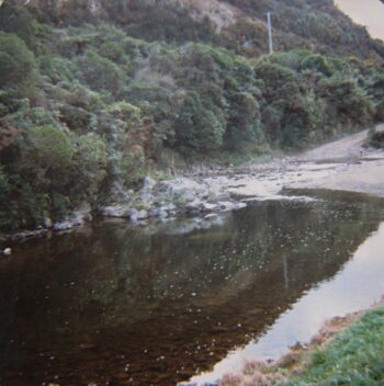 Rock Pool and Entrance from Moores Valley Road - Photographer: Jeremy Foster