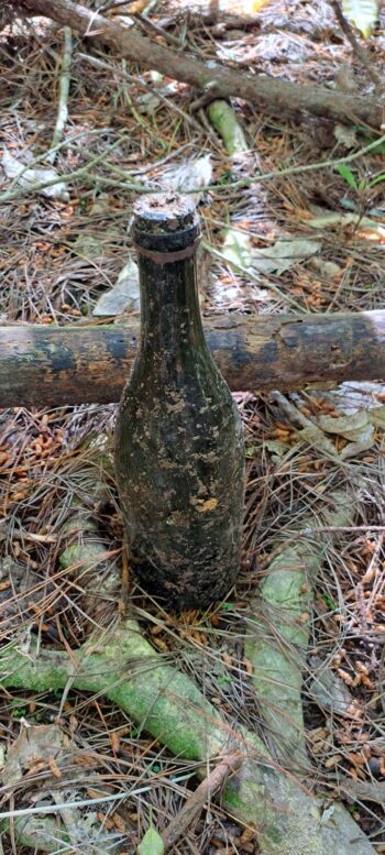 Champagne Bottle on Nainai to Wainuiomata Tramway Track on Wainuiomata Side - 2024 - © wainuiomata.net