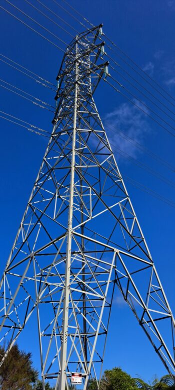 Pylon on the Pylon Track - 2024 - © wainuiomata.net