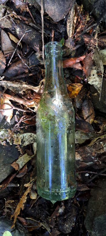 Antique water bottle on Nainai Tramway Track - 2024 - © wainuiomata.net