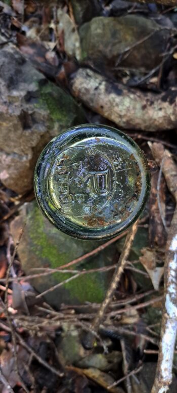 Antique water bottle on Nainai Tramway Track - 2024 - © wainuiomata.net