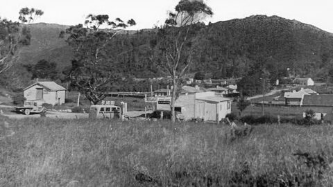 The Village in Wainuiomata (c1941) - Wainuiomata Historical Museum Society