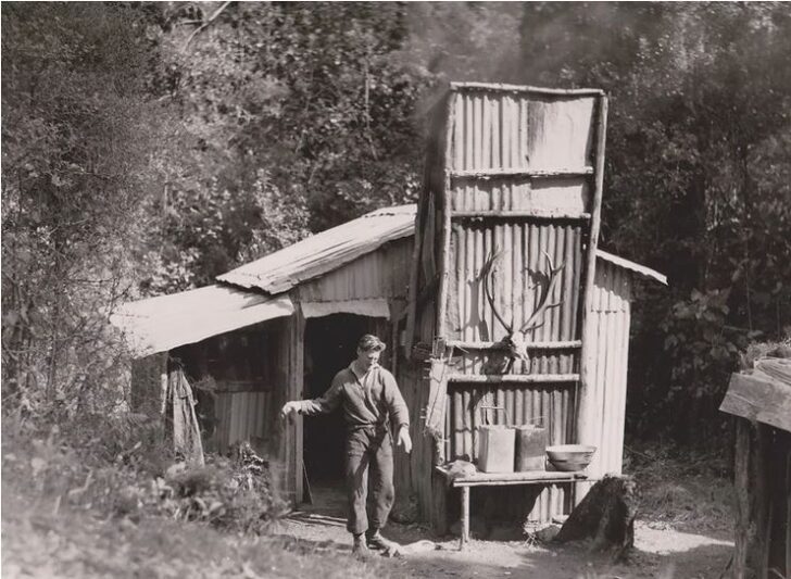 Research Station for Internal Affairs to control the possum problem in 1946 - Source: WHMS