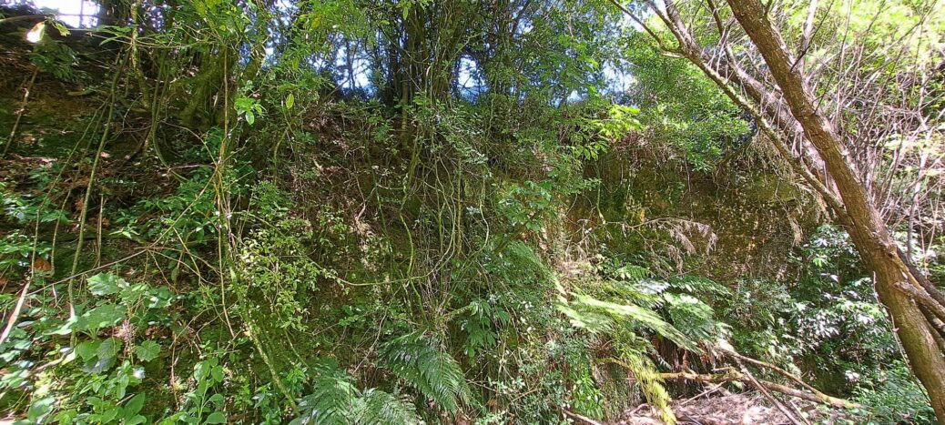 Cliff next to Wainuiomata Stream - 2024 - © wainuiomata.net