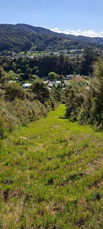 Gawler Reserve Track - 2024 - © wainuiomata.net