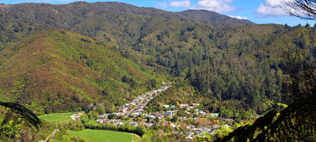 Sunny Grove & Hine Road in the distance - 2024 - © wainuiomata.net