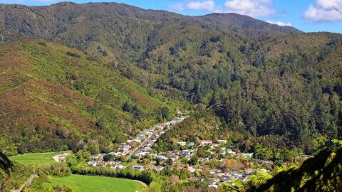 Sunny Grove & Hine Road in the distance - 2024 - © wainuiomata.net