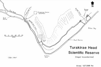 Turakirae Head Scientific Reserve Boundaries