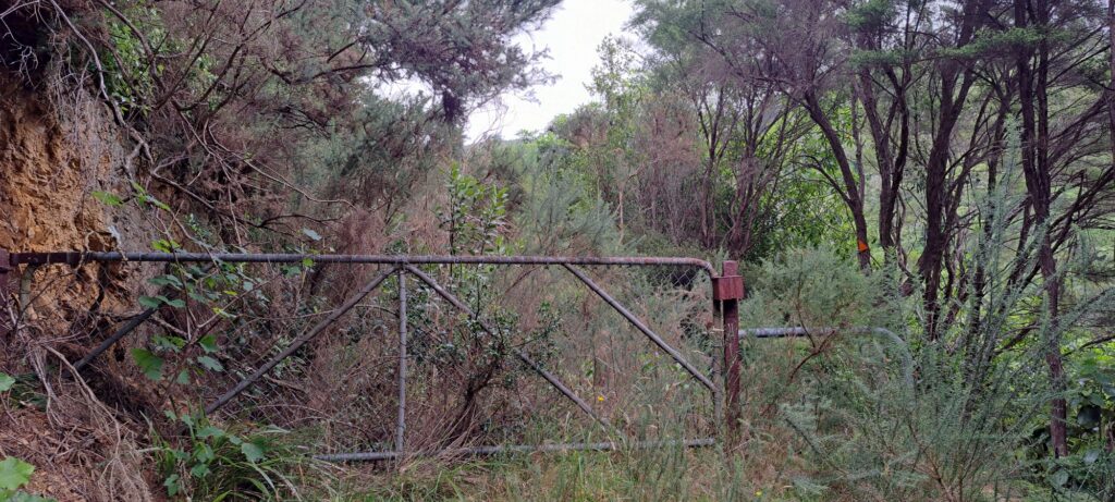 Old gate on Sunny Grove Track - 2024 - © wainuiomata.net