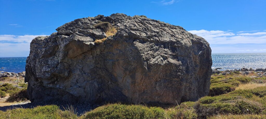 Giant Rock in the Turakirae Head Scientific Reserve - 2025 - © wainuiomata.net