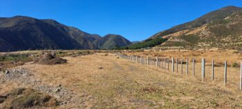 Ōrongorongo Station near the Wainuiomata coast - 2025 - © wainuiomata.net