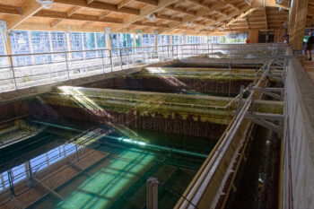 Filter Beds inside the Wainuiomata Water Treatment Plant - Source: Krustysimplex https://www.flickr.com/photos/43338286@N05/with/37477232076