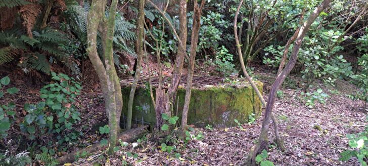 Shaft at Coleman's Tunnel - Photo taken in 2025 - © wainuiomata.net