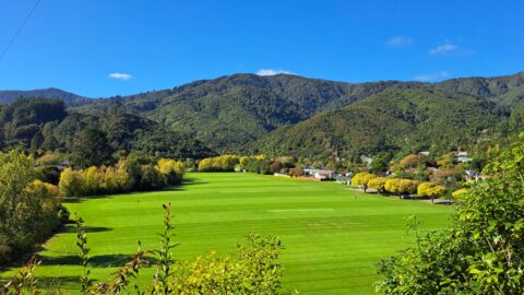 View From The Rock - 2025 - © wainuiomata.net