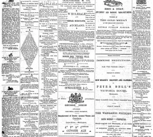 Manawatu Standard