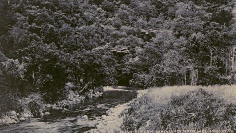 Wainuiomata River c1906