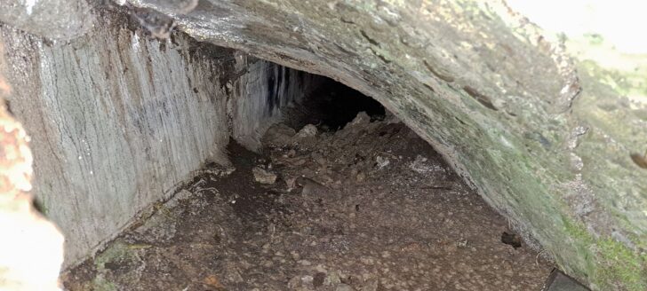 Inside the exposed water race next to Reservoir Road - 2025 - © wainuiomata.net