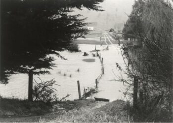 Flooded fields in Moores Valley, Wainuiomata - 1985 - CC BY-NC-ND 3.0