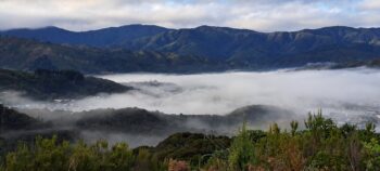 Wainuiomata Valley - 2025 - © wainuiomata.net