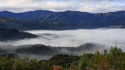 Wainuiomata Valley - 2025 - © wainuiomata.net