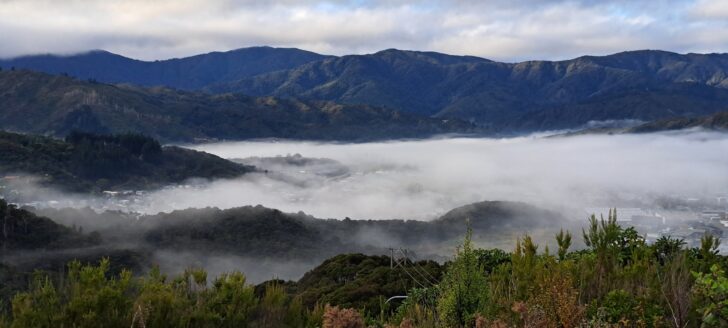 Wainuiomata Valley - 2025 - © wainuiomata.net