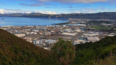 Wainuiomata Hill Lookout - 2025 - © wainuiomata.net
