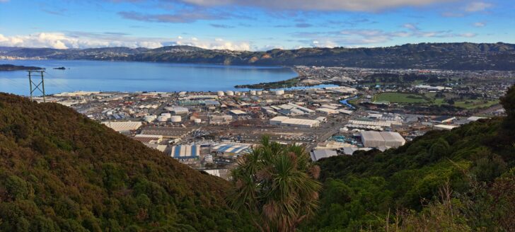 Wainuiomata Hill Lookout - 2025 - © wainuiomata.net