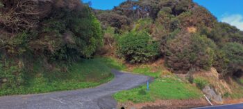 Mt Grace, Coast Road, Wainuiomata - 2025 - © wainuiomata.net