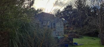 Abandoned House on Coast Road - 2025 - © wainuiomata.net